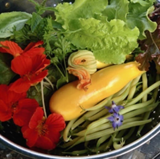 From Balconies to Backyards: Planning a Successful Vegetable Gard event