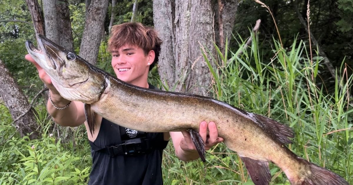 Ontario student documents eating every fish caught in Lake Ontario