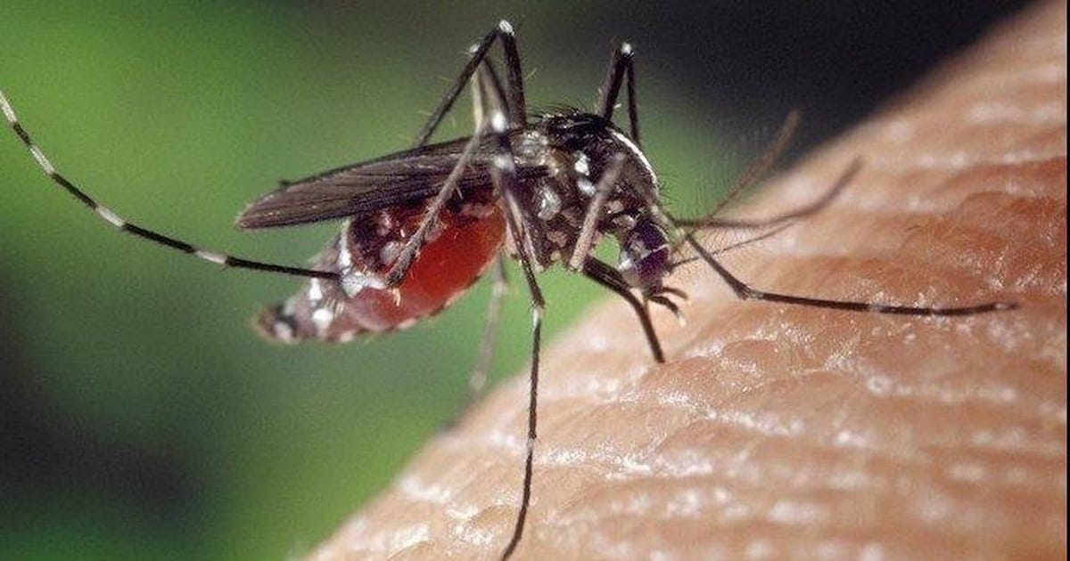 Peel Region public health confirms first human West Nile virus case of 2026