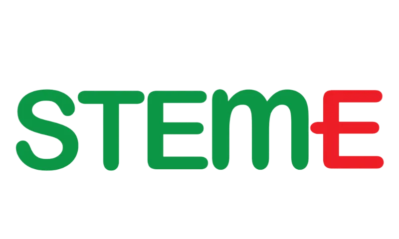 STEM-E school building