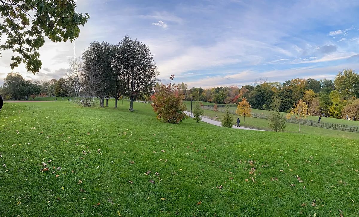 Cedarvale Ravine trail winding through midtown Toronto forest