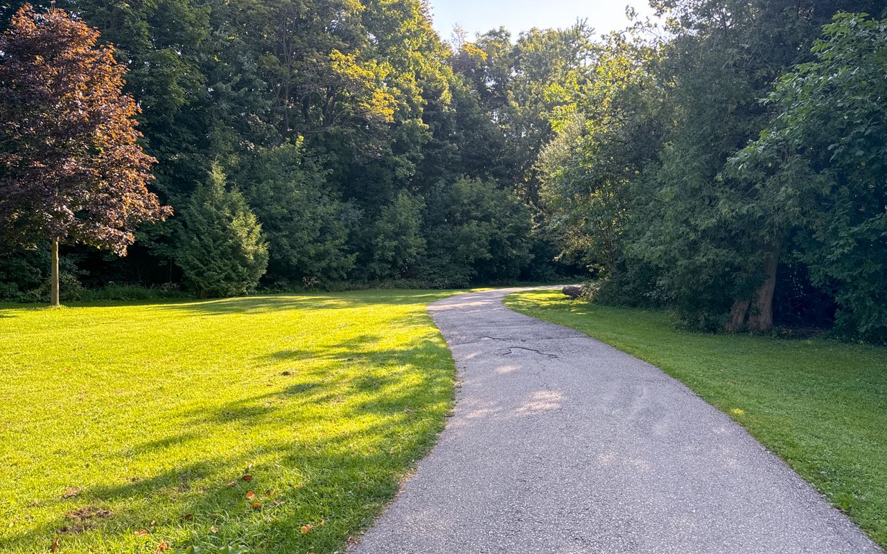 Wooded cross-country route in Thomson Memorial Park